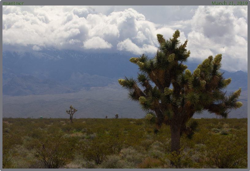 muntner, taken 2019-03-21 || Canon Canon EOS REBEL T2i | 100mm | 1/125s @ f/18
