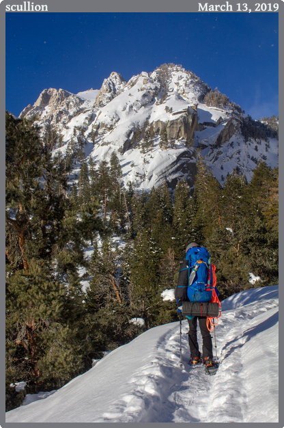 scullion, taken 2019-03-13 || Canon Canon EOS REBEL T2i | 30mm | 1/400s @ f/8
