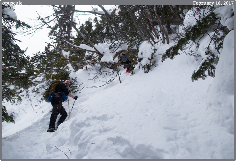 opuscule, taken 2017-02-18 || Canon Canon EOS 6D | 24mm | 1/640s @ f/4.5