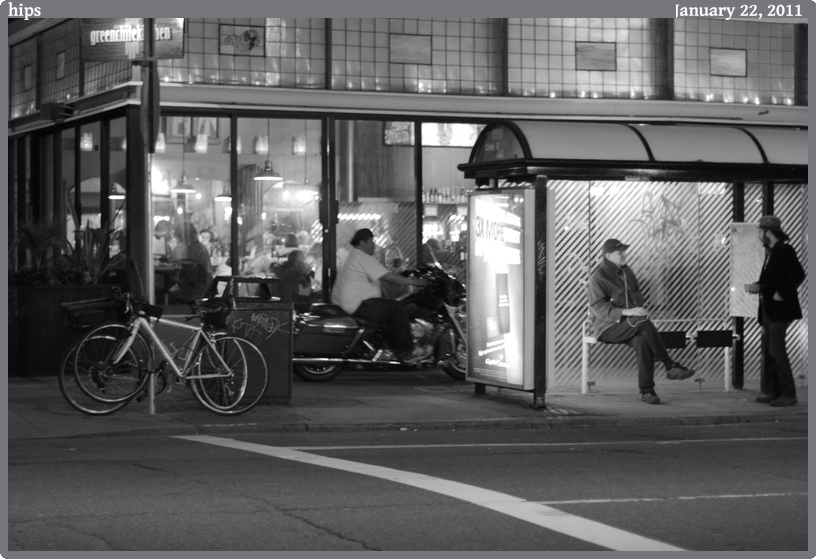 hips, taken 2011-01-22 || Canon Canon EOS REBEL T2i | 50mm | 1/50s @ f/1.6