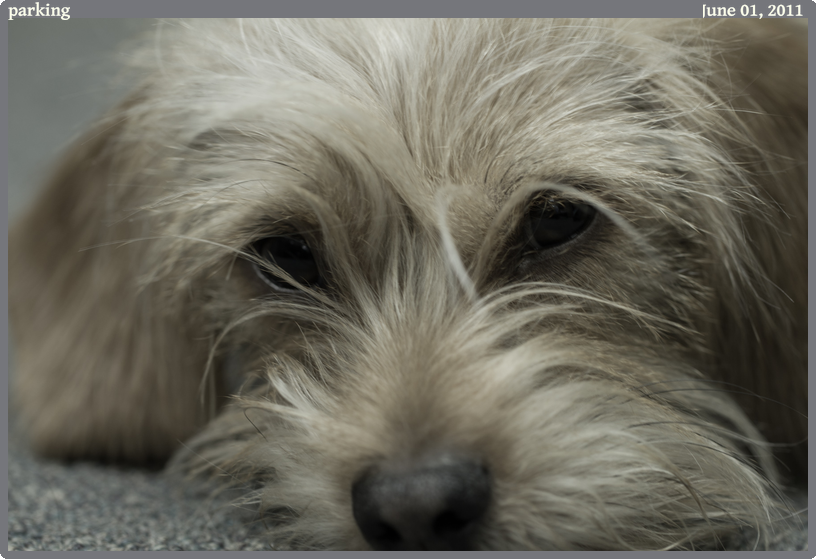 parking, taken 2011-06-01 || Canon Canon EOS REBEL T2i | 100mm | 1/6s @ f/2.8