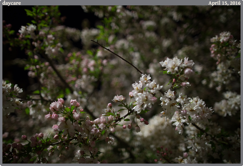 daycare, taken 2016-04-15 || Canon Canon EOS 6D | 24mm | 1/25s @ f/1.4
