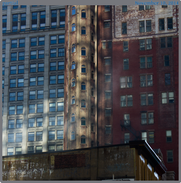 partial, taken 2014-11-10 || Canon Canon EOS REBEL T2i | 55mm | 1/30s @ f/8
