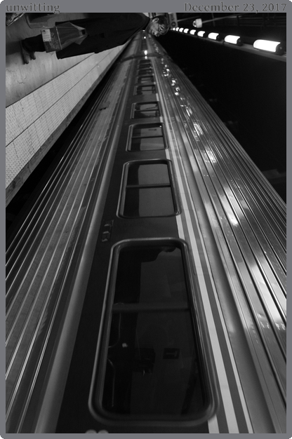 unwitting, taken 2017-12-23 || Canon Canon EOS 6D | 24mm | 1/250s @ f/2.5