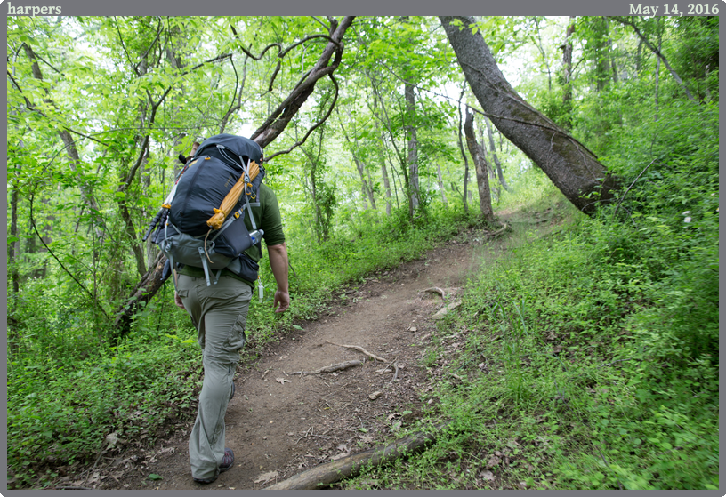 harpers, taken 2016-05-14 || Canon Canon EOS 6D | 24mm | 1/50s @ f/5