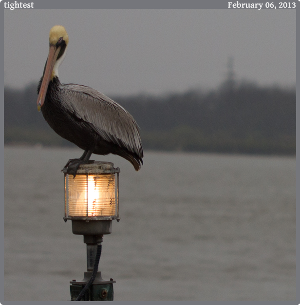 tightest, taken 2013-02-06 || Canon Canon EOS REBEL T2i | 100mm | 1/200s @ f/2.8