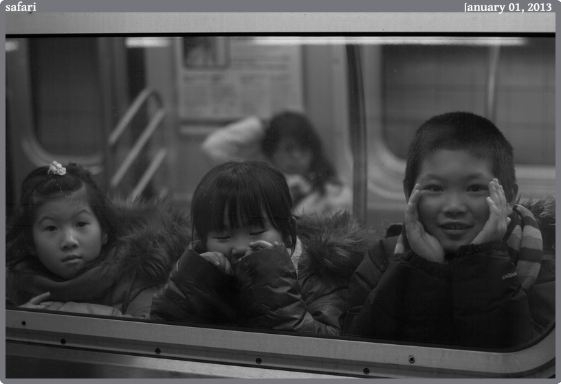 safari, taken 2013-01-01 || Canon Canon EOS REBEL T2i | 50mm | 1/125s @ f/2.2