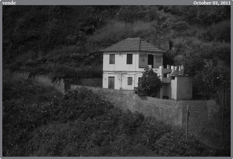 vende, taken 2011-10-03 || Canon Canon EOS REBEL T2i | 100mm | 1/2000s @ f/2.8