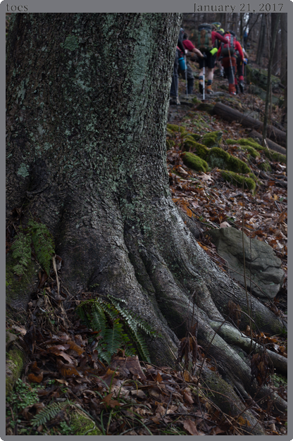 toes, taken 2017-01-21 || Canon Canon EOS 6D | 50mm | 1/60s @ f/6.3