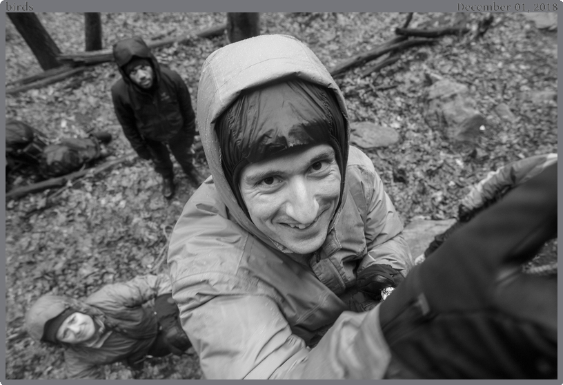 birds, taken 2018-12-01 || Canon Canon EOS 6D | 24mm | 1/160s @ f/7.1