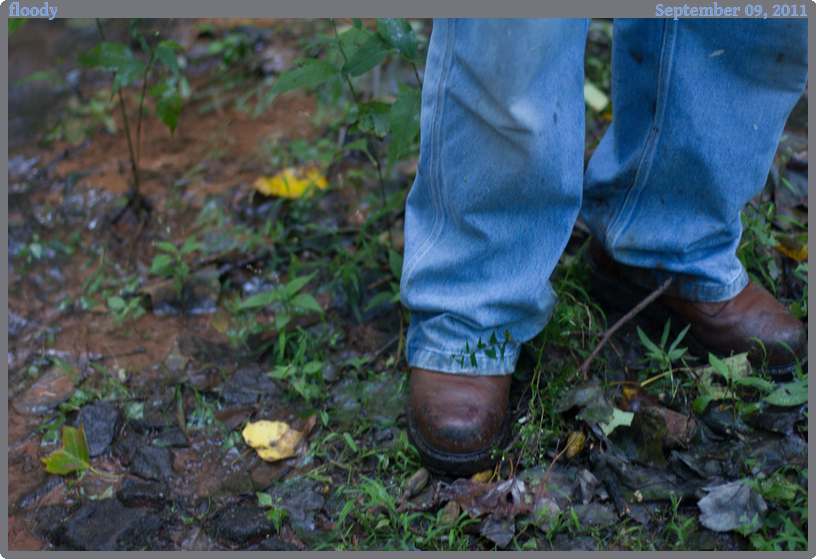 floody, taken 2011-09-09 || Canon Canon EOS REBEL T2i | 50mm | 1/15s @ f/1.8