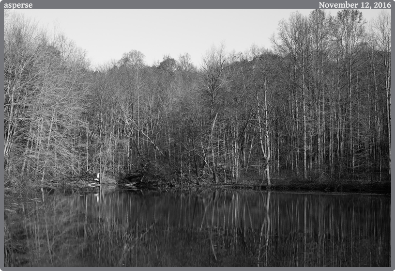 asperse, taken 2016-11-12 || Canon Canon EOS 6D | 50mm | 1/640s @ f/5