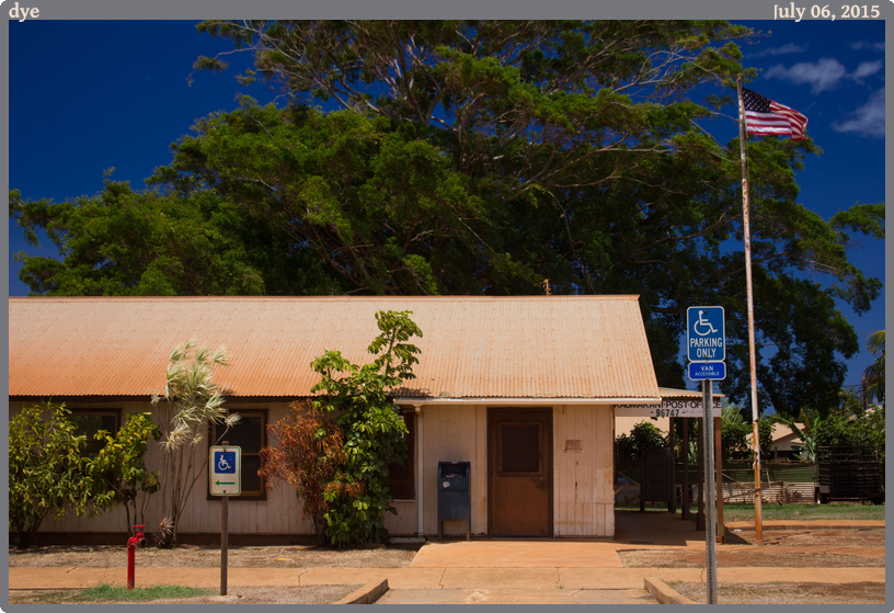 dye, taken 2015-07-06 || Canon Canon EOS REBEL T2i | 36mm | 1/250s @ f/5