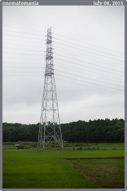 onomatomania, taken 2015-07-08 || Canon Canon EOS 6D | 50mm | 1/4000s @ f/2.2