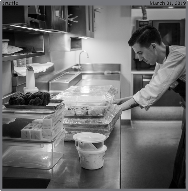 truffle, taken 2019-03-01 || Canon Canon EOS REBEL T2i | 24mm | 1/125s @ f/3.5