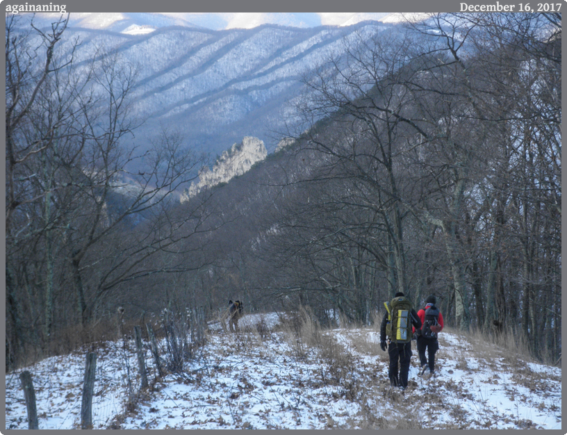 againaning, taken 2017-12-16 || OLYMPUS IMAGING CORP u7010,S7010 | 129mm | 1/100s @ f/4