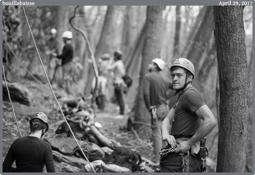 bouillabaisse, taken 2017-04-29 || Canon Canon EOS 6D | 100mm | 1/320s @ f/2.8