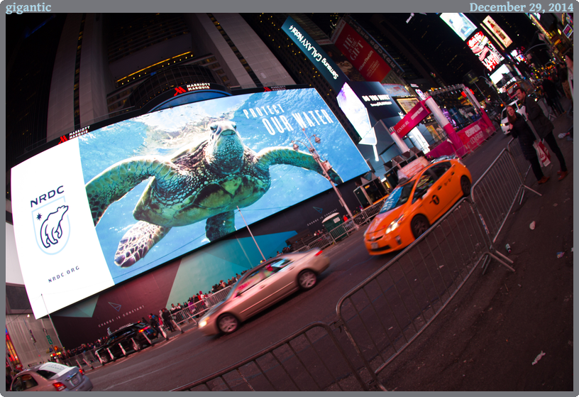gigantic, taken 2014-12-29 || Canon Canon EOS REBEL T2i | 10mm | 1/40s @ f/2.8