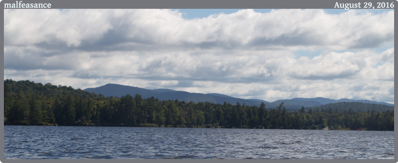 malfeasance, taken 2016-08-29 || Canon Canon EOS 6D | 100mm | 1/500s @ f/7.1