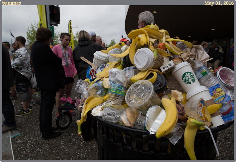 bananas, taken 2016-05-01 || Canon Canon EOS 6D | 24mm | 1/500s @ f/11
