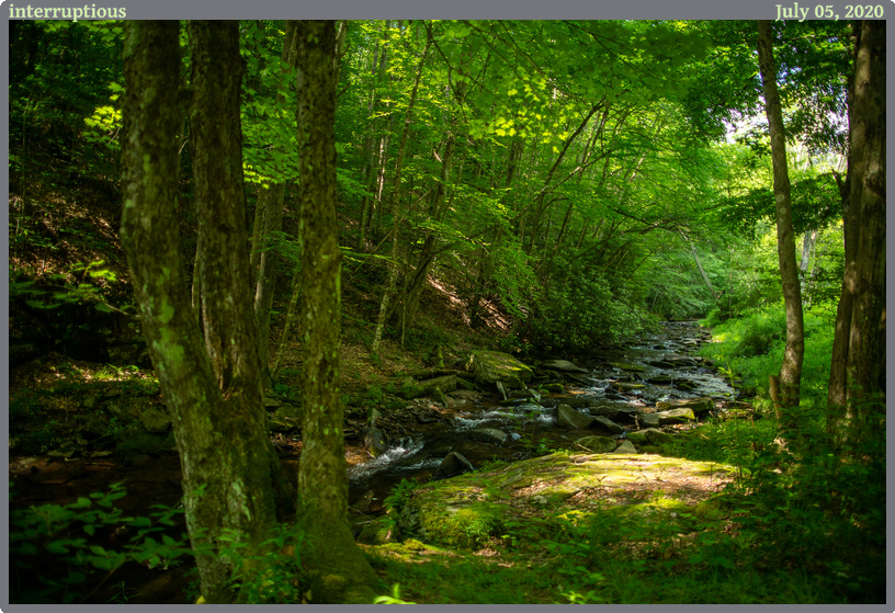 interruptious, taken 2020-07-05 || Canon Canon EOS 6D | 24mm | 1/500s @ f/1.4