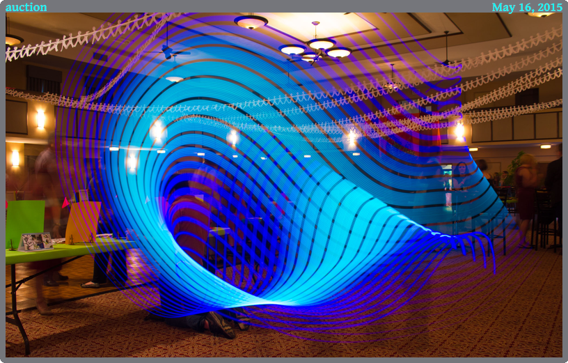 auction, taken 2015-05-16 || Canon Canon EOS REBEL T2i | 18mm | 6s @ f/4.5