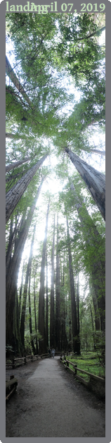 landing, taken 2019-04-07 || Panasonic DC-ZS200 | 88mm | 1/100s @ f/3.3