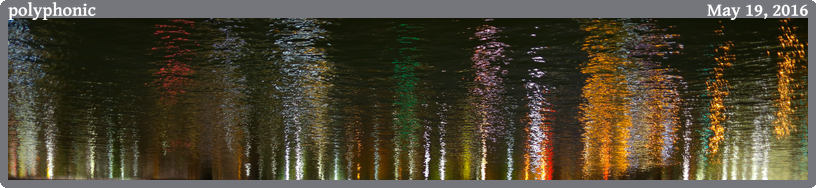 polyphonic, taken 2016-05-19 || Canon Canon EOS 6D | 24mm | 1/30s @ f/1.4