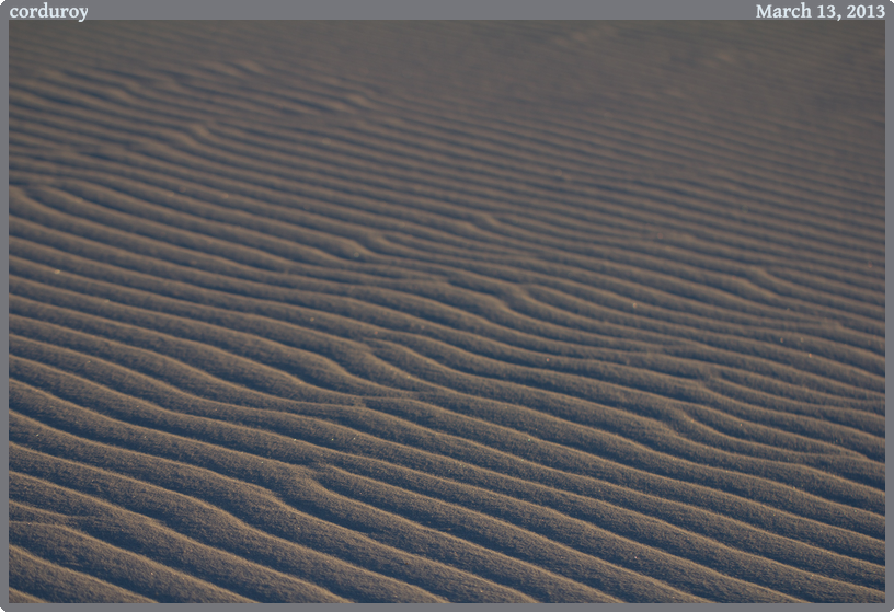 corduroy, taken 2013-03-13 || Canon Canon EOS REBEL T2i | 100mm | 1/1000s @ f/3.2