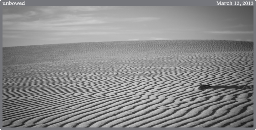 unbowed, taken 2013-03-12 || Canon Canon EOS REBEL T2i | 55mm | 1/320s @ f/5.6