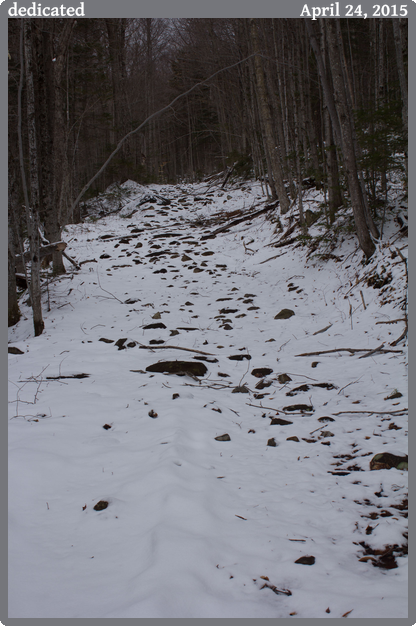 dedicated, taken 2015-04-24 || Canon Canon EOS REBEL T2i | 29mm | 1/80s @ f/6.3