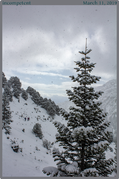 incompetent, taken 2019-03-11 || Canon Canon EOS REBEL T2i | 25mm | 1/500s @ f/8