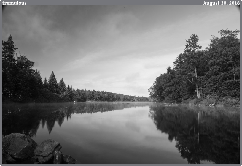 tremulous, taken 2016-08-30 || Canon Canon EOS 6D | 24mm | 16/10s @ f/22