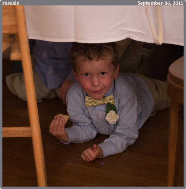 rascals, taken 2015-09-06 || None None | None | None @ None