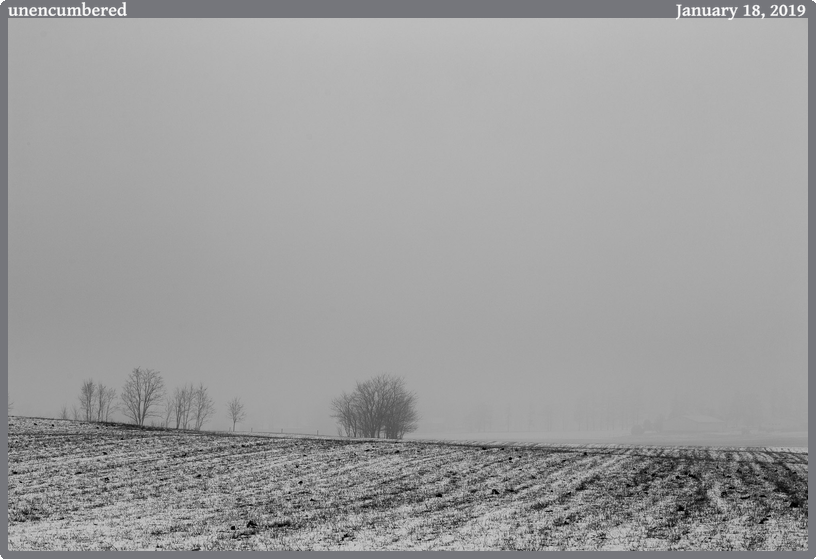 unencumbered, taken 2019-01-18 || Canon Canon EOS 6D | 100mm | 1/250s @ f/9