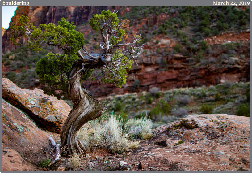 bouldering, taken 2019-03-22 || Canon Canon EOS REBEL T2i | 24mm | 1/500s @ f/1.4