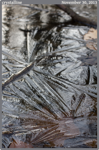 crystalline, taken 2013-11-30 || Canon Canon EOS REBEL T2i | 50mm | 1/30s @ f/7.1