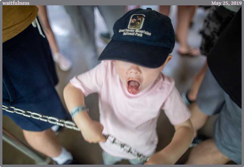 waitfulness, taken 2019-05-25 || Canon Canon EOS 6D | 24mm | 1/80s @ f/1.4