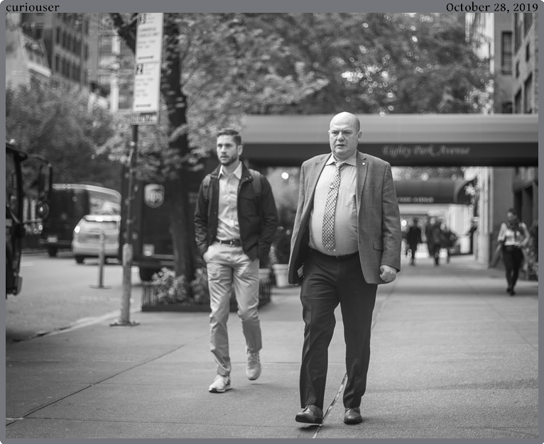 curiouser, taken 2019-10-28 || Canon Canon EOS 6D | 50mm | 1/640s @ f/1.6