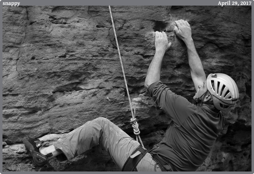 snappy, taken 2017-04-29 || Canon Canon EOS 6D | 100mm | 1/320s @ f/2.8