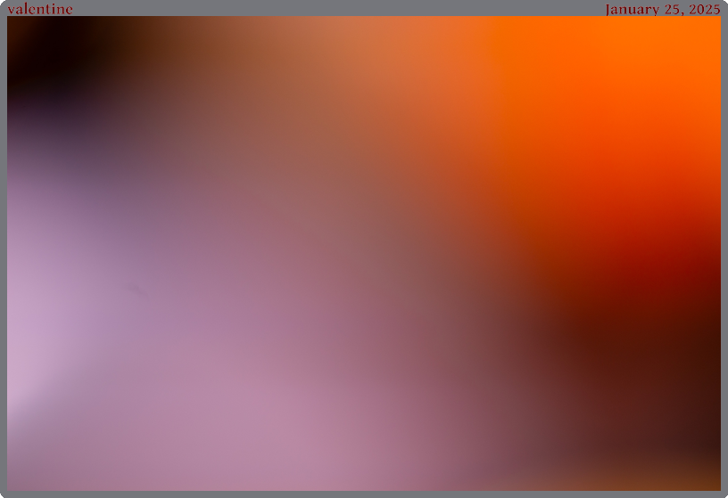 valentine, taken 2025-01-25 || Canon Canon EOS 6D | 100.0 | 1/100s @ 2.8