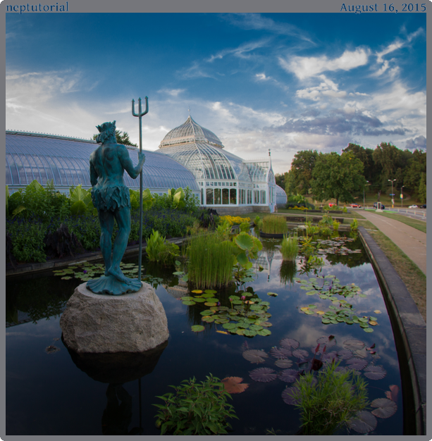 neptutorial, taken 2015-08-16 || None None | None | None @ None