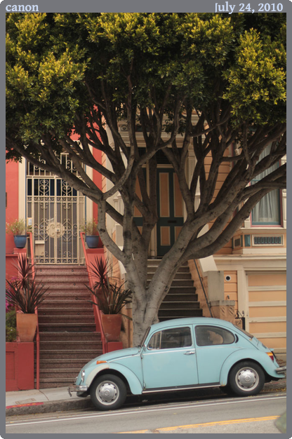 canon, taken 2010-07-24 || Canon Canon EOS REBEL T2i | 50mm | 1/3200s @ f/1.4