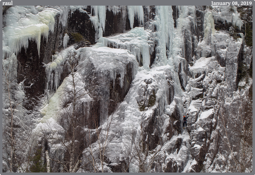raul, taken 2019-01-08 || Canon Canon EOS 6D | 100mm | 1/60s @ f/9