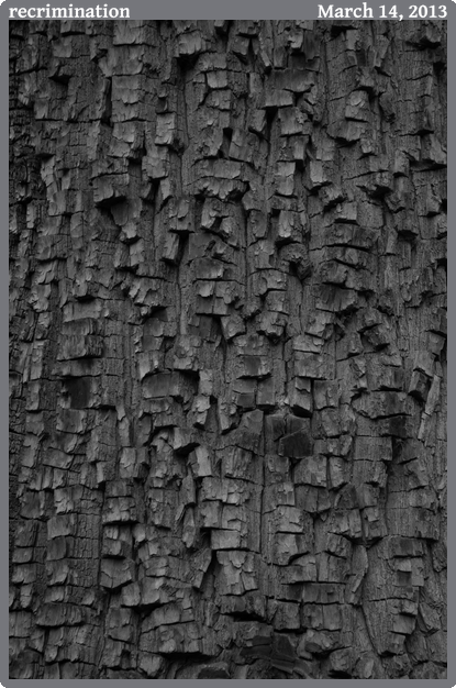 recrimination, taken 2013-03-14 || Canon Canon EOS REBEL T2i | 55mm | 1/25s @ f/5.6