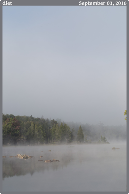 diet, taken 2016-09-03 || Canon Canon EOS 6D | 100mm | 1/100s @ f/13