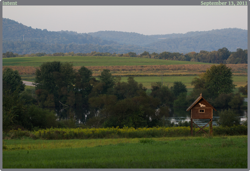 intent, taken 2011-09-13 || Canon Canon EOS REBEL T2i | 100mm | 1/200s @ f/3.5