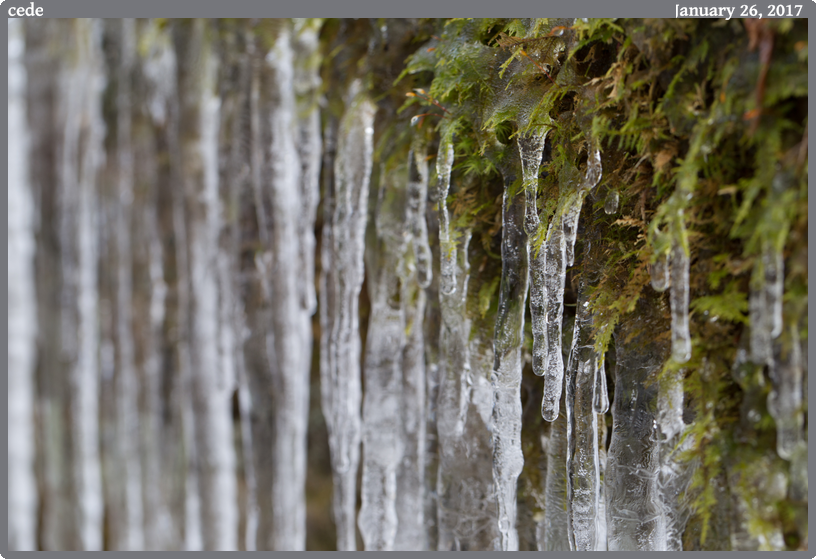 cede, taken 2017-01-26 || Canon Canon EOS 6D | 100mm | 1/100s @ f/6.3