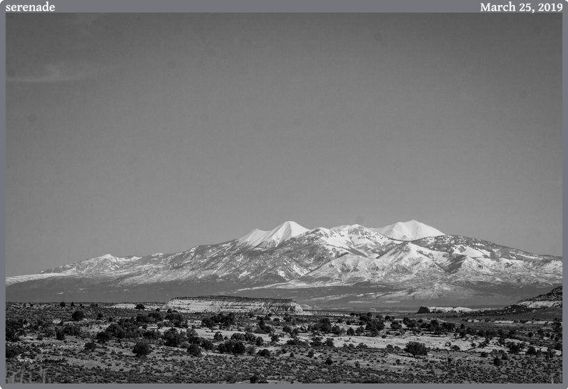 serenade, taken 2019-03-25 || Canon Canon EOS REBEL T2i | 100mm | 1/1250s @ f/11