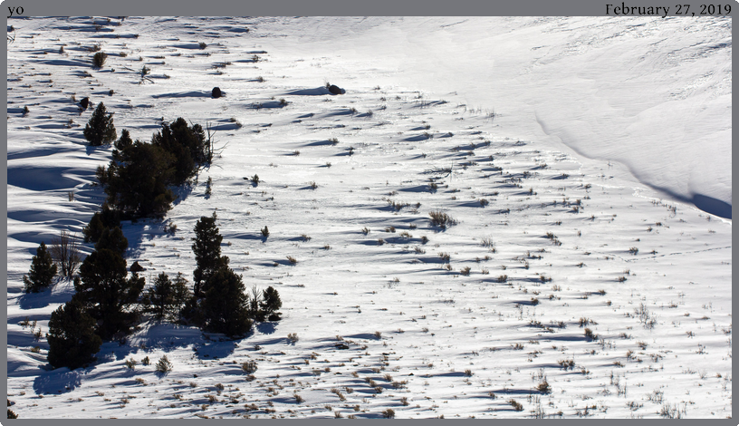 yo, taken 2019-02-27 || Canon Canon EOS REBEL T2i | 100mm | 1/1600s @ f/6.3